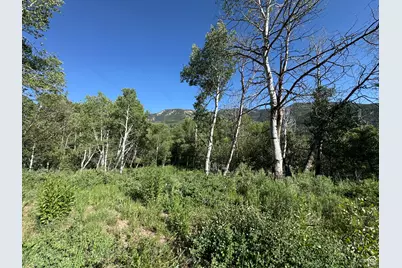 5592 Fremont Trl #85, Oakley, UT 84055 - Photo 40