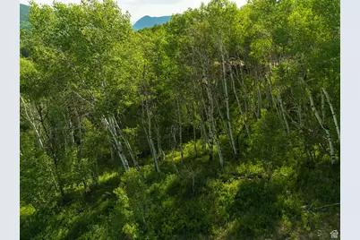 5592 Fremont Trl #85, Oakley, UT 84055 - Photo 38