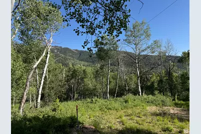 5592 Fremont Trl #85, Oakley, UT 84055 - Photo 44