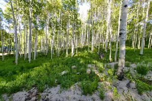 11728 E Raccoon Dr, Heber City, UT 84032 - Photo 40