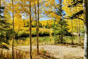 11728 E Raccoon Dr, Heber City, UT 84032 - Photo 6