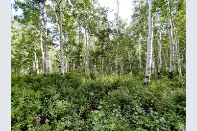 11457 E Marigold Ln #1663, Heber City, UT 84032 - Photo 8