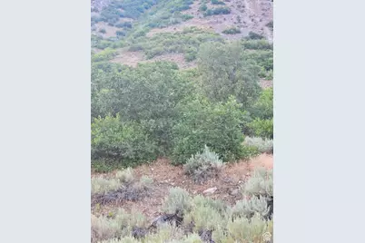 1691 E Box Elder Cir N #54, Alpine, UT 84004 - Photo 10