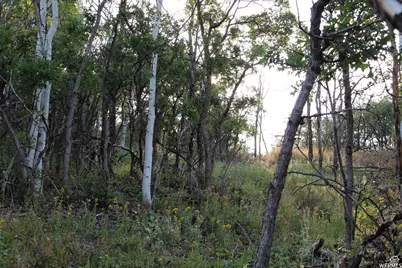 1747 S Beaver Bench E #1421, Heber City, UT 84032 - Photo 2