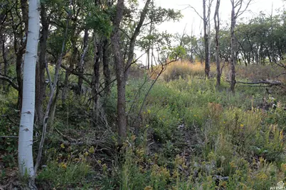 1747 S Beaver Bench E #1421, Heber City, UT 84032 - Photo 1