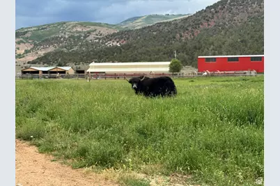 42749 W 9750 N, Hanna, UT 84031 - Photo 52