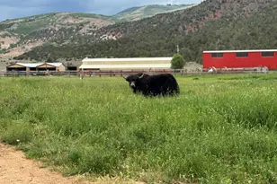 42749 W 9750 N, Hanna, UT 84031 - Photo 52