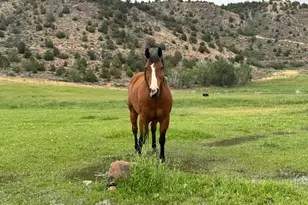 42749 W 9750 N, Hanna, UT 84031 - Photo 10