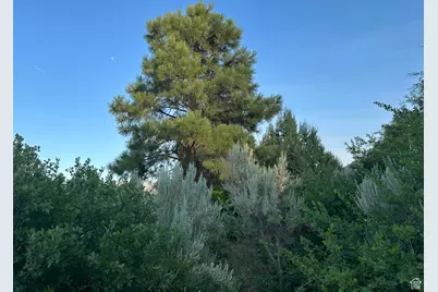 9 Chamisa Ln, Castle Valley, UT 84532 - Photo 44