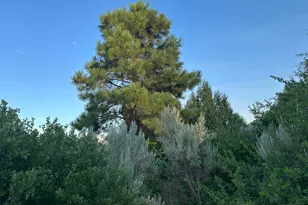 9 Chamisa Ln, Castle Valley, UT 84532 - Photo 44