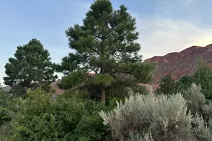 9 Chamisa Ln, Castle Valley, UT 84532 - Photo 42