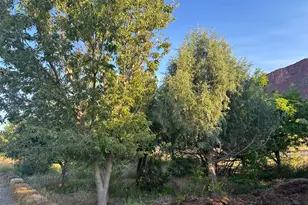 9 Chamisa Ln, Castle Valley, UT 84532 - Photo 46