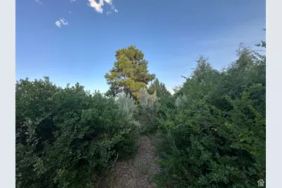 9 Chamisa Ln, Castle Valley, UT 84532 - Photo 32