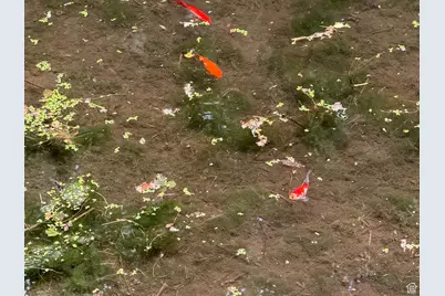 1121 E 580 Cir N, American Fork, UT 84003 - Photo 118