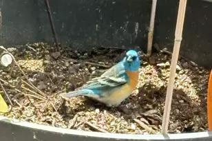 9173 E Soldier Creek Ln S, Daniel, UT 84032 - Photo 72