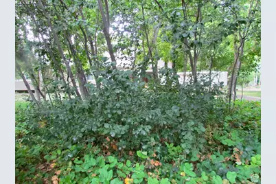 7737 W Sawtooth Cv N, Vernal, UT 84078 - Photo 56