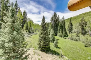 7102 S Steller Jay Way, Brighton, UT 84121 - Photo 94