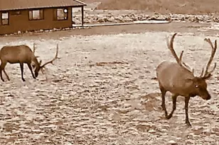 15674 E 18800 N Gadson Draw Rd, Vernal, UT 84078 - Photo 4