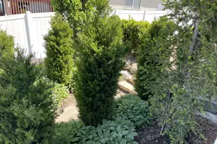 1494 S Mica Ln, Layton, UT 84041 - Photo 36