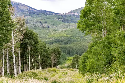[Address not provided], Midway, UT 84049 - Photo 78