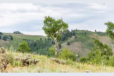 [Address not provided], Midway, UT 84049 - Photo 48