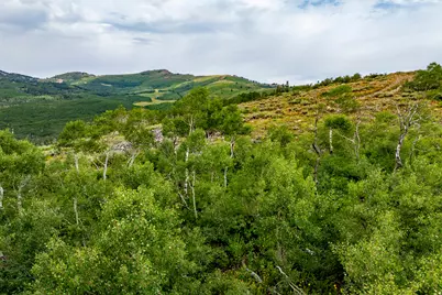 [Address not provided], Midway, UT 84049 - Photo 90