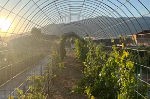 1103 N Brooklyn Rd, Monroe, UT 84754 - Photo 66