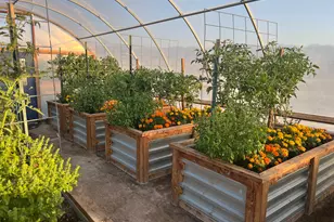 1103 N Brooklyn Rd, Monroe, UT 84754 - Photo 68