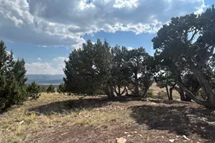 46247 W Bandanna Dr, Fruitland, UT 84027 - Photo 22