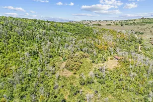 0, Woodland Hills, UT 84036 - Photo 56