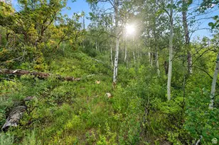 0, Woodland Hills, UT 84036 - Photo 18