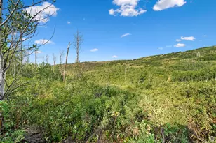 0, Woodland Hills, UT 84036 - Photo 28