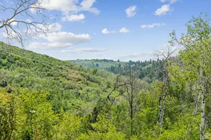 0, Woodland Hills, UT 84036 - Photo 12