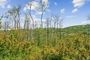 0, Woodland Hills, UT 84036 - Photo 14