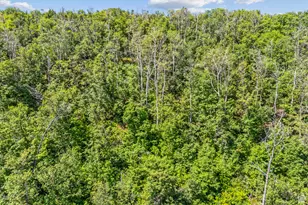 0, Woodland Hills, UT 84036 - Photo 38