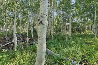 3949 N Blue Spruce Dr #1853, Heber City, UT 84032 - Photo 40