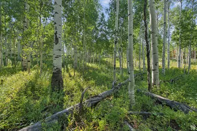 3949 N Blue Spruce Dr #1853, Heber City, UT 84032 - Photo 38