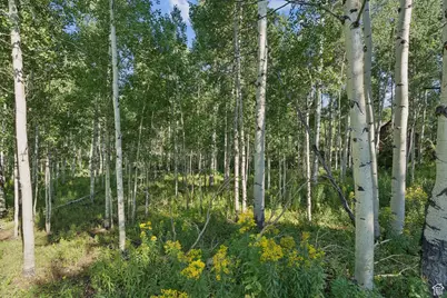 3949 N Blue Spruce Dr #1853, Heber City, UT 84032 - Photo 28