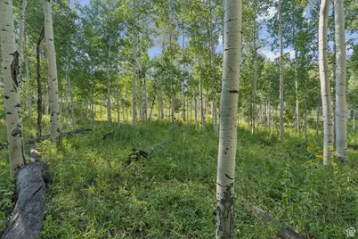 3949 N Blue Spruce Dr #1853, Heber City, UT 84032 - Photo 34