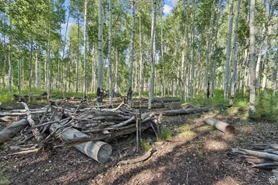 3949 N Blue Spruce Dr #1853, Heber City, UT 84032 - Photo 42