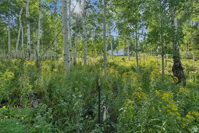 3949 N Blue Spruce Dr #1853, Heber City, UT 84032 - Photo 30