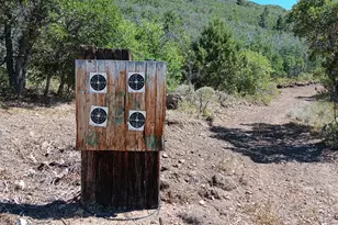 33380 N 10450 E, Fairview, UT 84629 - Photo 44