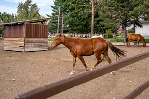 3400 S Big Hollow Rd, Daniel, UT 84032 - Photo 58