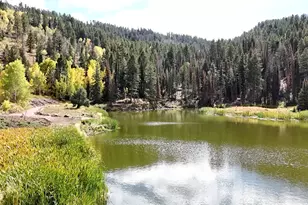 117 (Hl-117) River Vu Rd, Oakley, UT 84055 - Photo 44