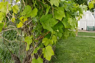 4891 S 2875 W, Roy, UT 84067 - Photo 70