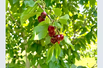 390 N 100 W, Fillmore, UT 84631 - Photo 12