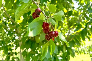 390 N 100 W, Fillmore, UT 84631 - Photo 12