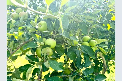 390 N 100 W, Fillmore, UT 84631 - Photo 10