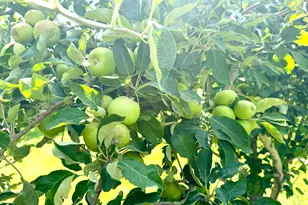 390 N 100 W, Fillmore, UT 84631 - Photo 10