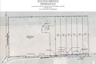 1116 N Goshen Canyon Rd W, Mona, UT 84645 - Photo 8